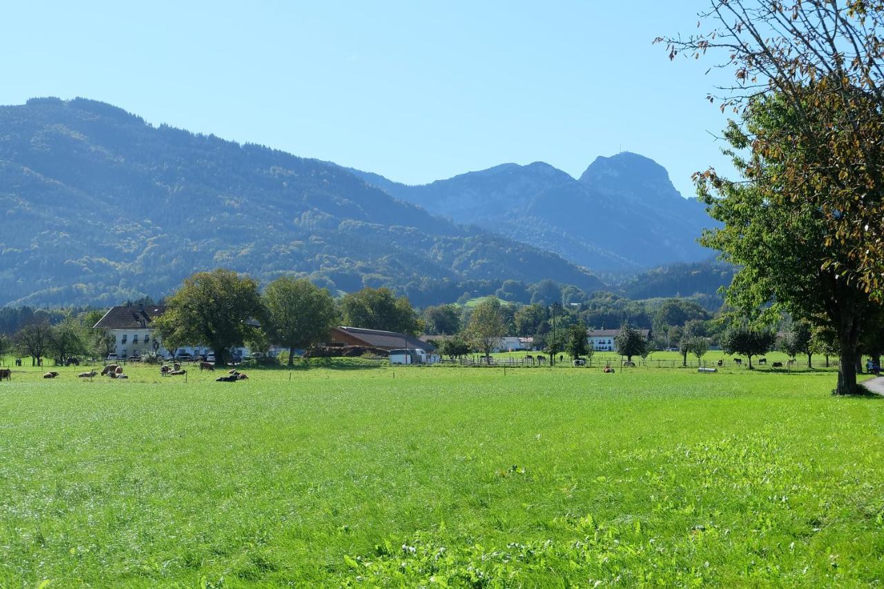 Am Jenbach Apartman Bad Feilnbach Kültér fotó